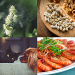 causes of allergies (pollen, animals, food)